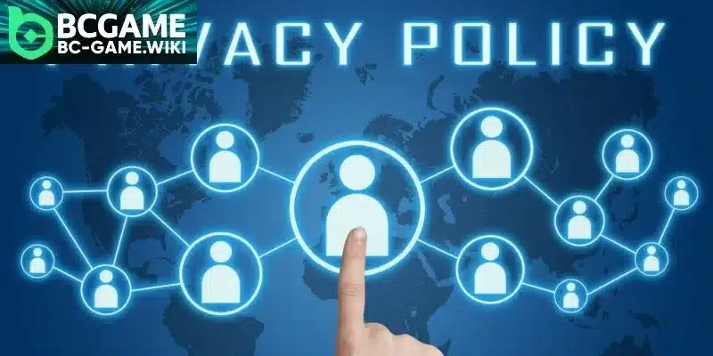 Basic overview of the platform Privacy Policy terms