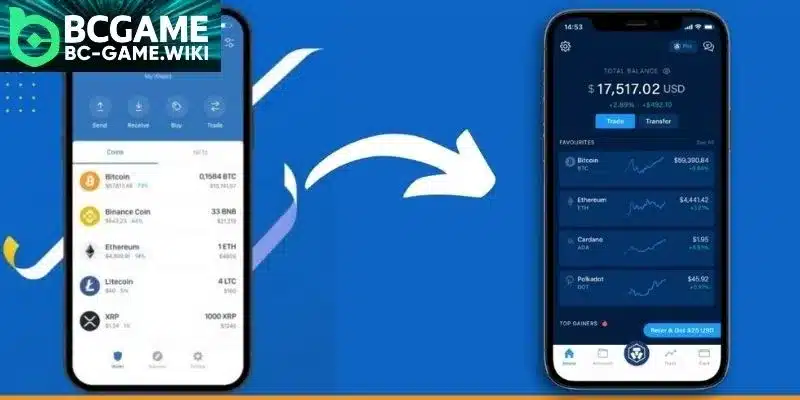Choosing the right network to transfer money safely