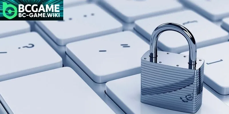 Distributing member information to external partner organizations safely