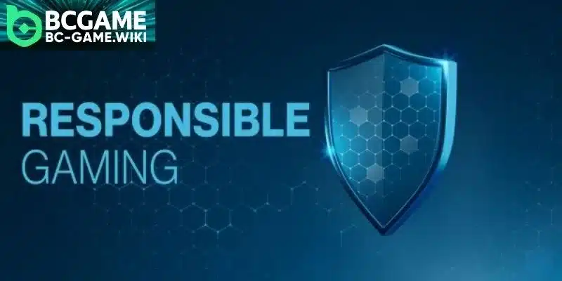 Employing practical money monitoring instruments for better control