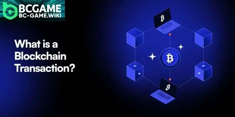 Grasping how blockchain transactions work for all members