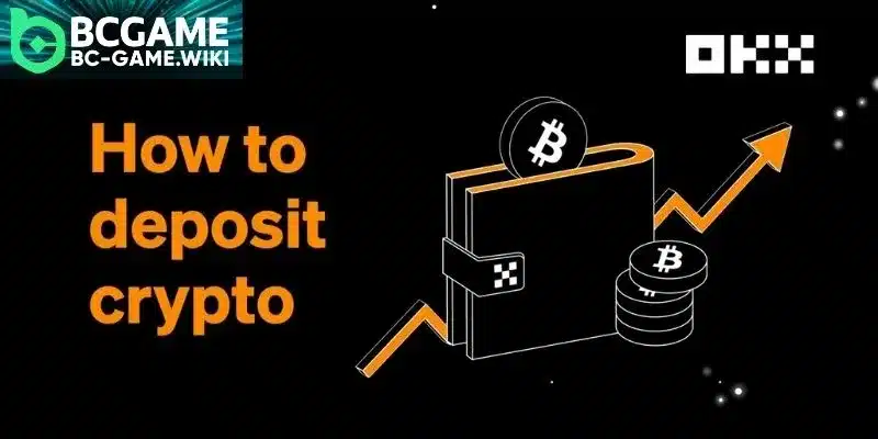 Guide about how to deposit crypto for new members